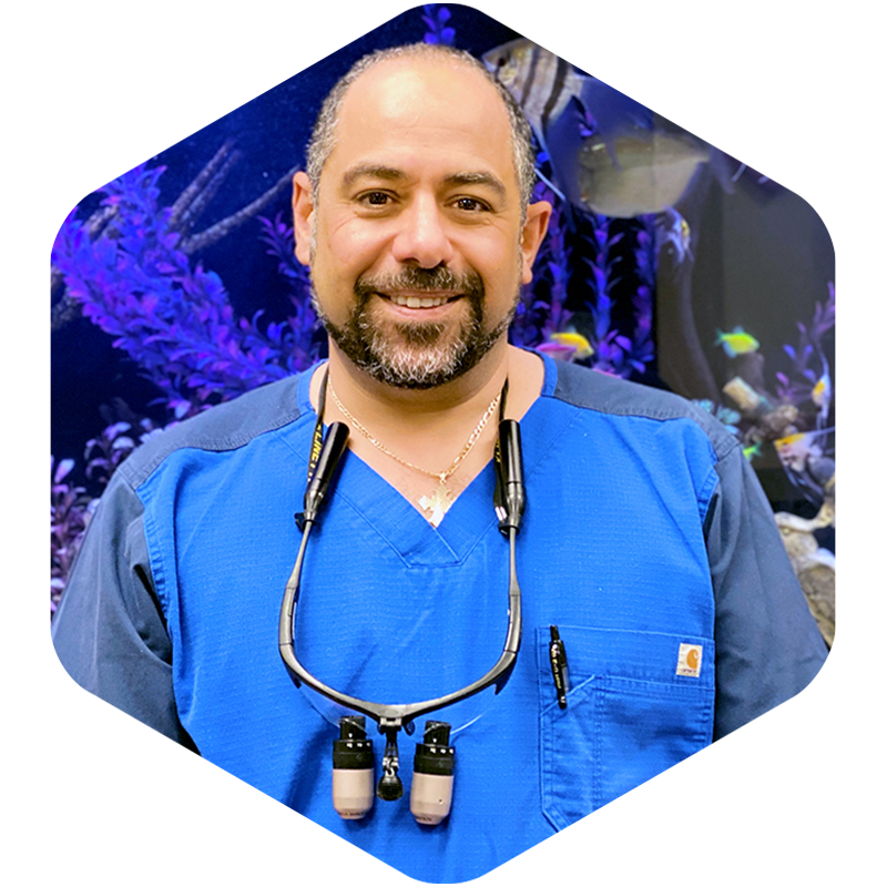 Portrait of Dr. Khalil.